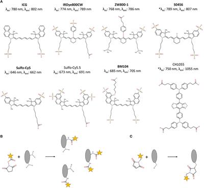 Frontiers | Emerging Fluorescent Molecular Tracers to Guide Intra ...