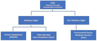 Frontiers | Focus on Cardiologic Findings in 30 Children With PANS ...