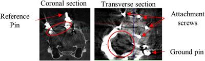 Frontiers | Unsupervised Temporal Contiguity Experience Does Not Break ...