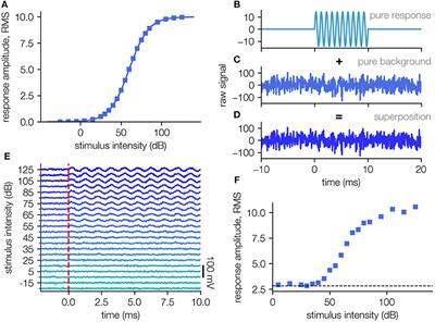 Frontiers | Objective Estimation of Sensory Thresholds Based on ...