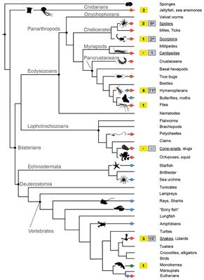 Frontiers | The Significance of Comparative Genomics in Modern ...