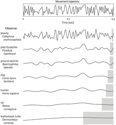 Empirical Rabbit: Rating vs. Time on the Clock