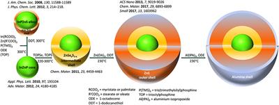 Encapsulation of Carbon Dots in a Core–Shell Mesh through