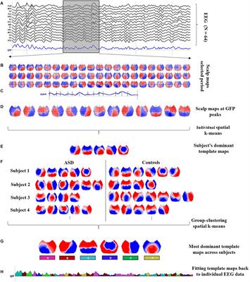 Frontiers | EEG Microstates Analysis in Young Adults With Autism ...