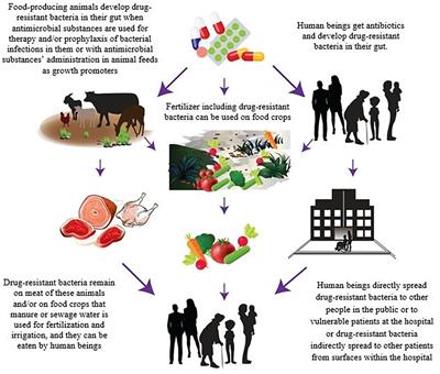 Frontiers A State Of Art Review On Multi Drug Resistant - 