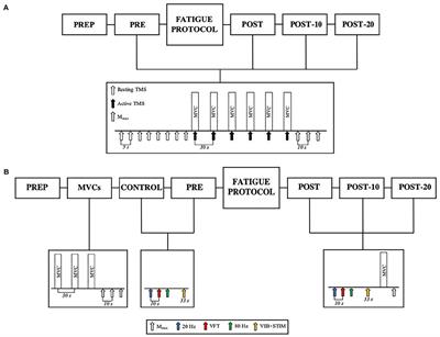 download endnote northwesern memorial