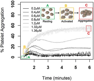 Frontiers | Probing ADP Induced Aggregation Kinetics During Platelet ...