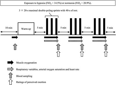 Frontiers | Muscle Oxygenation During 
