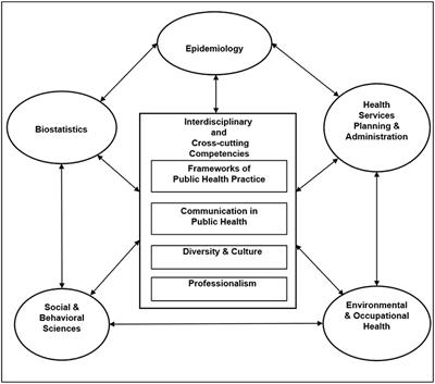 Frontiers | The Capstone ePortfolio in an Undergraduate Public Health ...