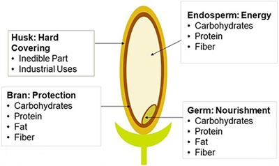 Frontiers  Current Trends of Rice Milling Byproducts for