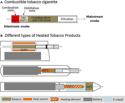 Frontiers | Heated Tobacco Products: A Review of Current Knowledge and ...