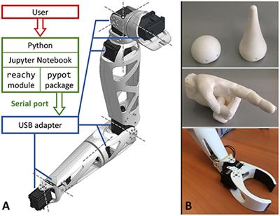 | Reachy, a 3D-Printed Human-Like Robotic as a Testbed for Human-Robot Strategies