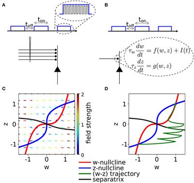 Frontiers | Optimal Stimulation Protocol in a Bistable Synaptic ...