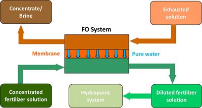 Economic feasibility of adopting a hydroponics system on substrate