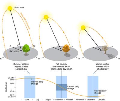 Frontiers | Is the Timing, Pace, and Success of the Monarch Migration ...