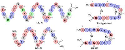 Frontiers | Evaluation of the Antimicrobial Peptide, RP557, for the ...