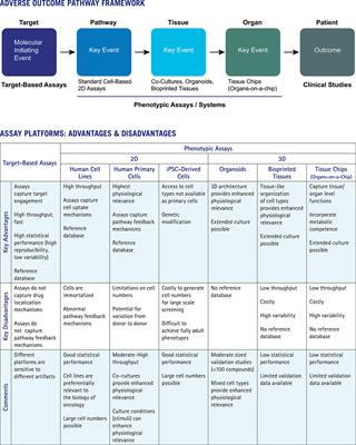 Importance of toxicity testing in drug discovery and research