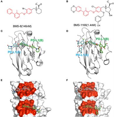 Frontiers Computational Insight Into The Small Molecule Intervening Pd L1 Dimerization And The Potential Structure Activity Relationship Chemistry