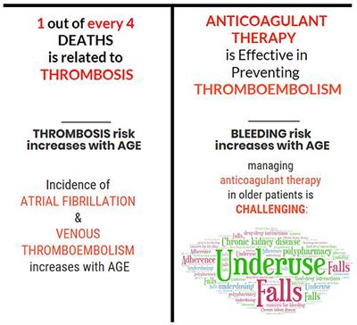 Frontiers | Thromboembolism in Older Adults