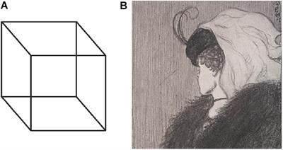 Frontiers Assessing Field Dependence Independence Cognitive Abilities Through Eeg Based Bistable Perception Processing Human Neuroscience