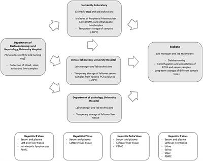 Frontiers | Biobanking for Viral Hepatitis Research