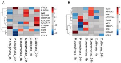 Genetic Factors of the Disease Course after Sepsis: A Genome-Wide Study for  28Day Mortality - eBioMedicine