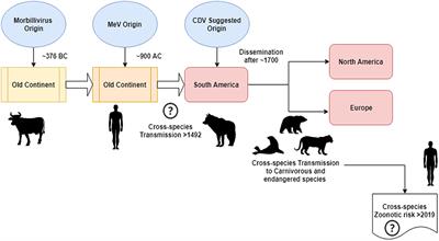 is canine distemper contagious