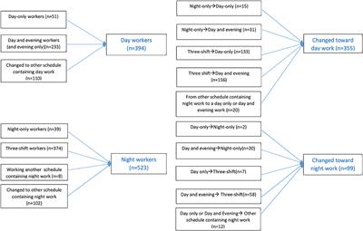 Frontiers  The Impact of Rotating Night Shift Work and Daytime