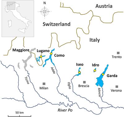 Frontiers | Effects of Habitat Partitioning on the Distribution of ...