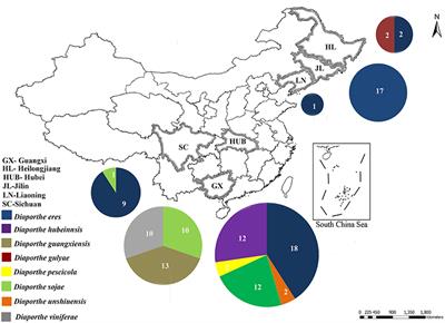 Frontiers High Genetic Diversity And Species Complexity Of