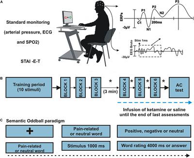 Frontiers S Ketamine S Effect Changes The Cortical