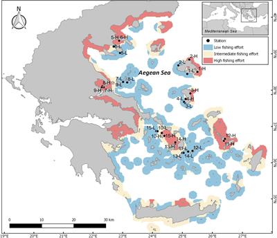 Frontiers Small Scale Coastal Fishing Shapes The Structure Of Shallow Rocky Reef Fish In The Aegean Sea Marine Science