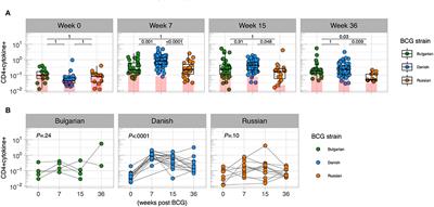 Frontiers Bacille Calmette Guerin Vaccine Strain Modulates The