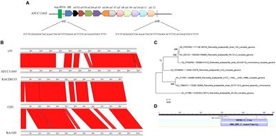 Frontiers Identification Of Genomic Associations For Plant