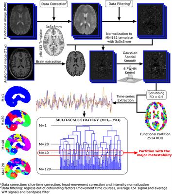 Frontiers | Metastable Resting State Brain Dynamics | Frontiers in ...