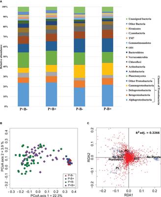 Frontiers | Plant Identity Shaped Rhizospheric Microbial Communities ...