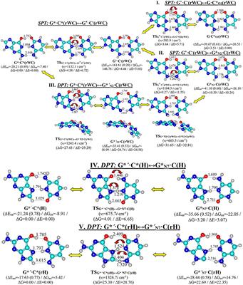 Frontiers Novel Tautomerisation Mechanisms Of The Biologically Important Conformers Of The Reverse Lowdin Hoogsteen And Reverse Hoogsteen G C Dna Base Pairs Via Proton Transfer A Quantum Mechanical Survey Chemistry