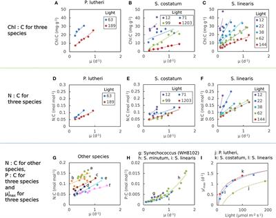 Frontiers A Mechanistic Model Of Macromolecular Allocation Elemental Stoichiometry And Growth Rate In Phytoplankton Microbiology
