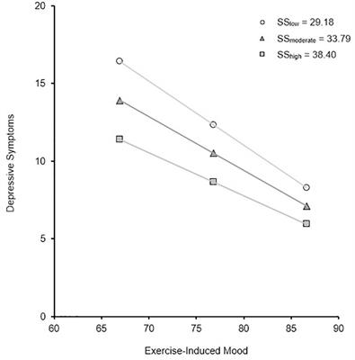 Frontiers Exercise Mood Self Efficacy And Social Support As Predictors Of Depressive Symptoms In Older Adults Direct And Interaction Effects Psychology