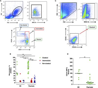 Frontiers | Mononuclear Phagocyte Activation Is Associated With the ...