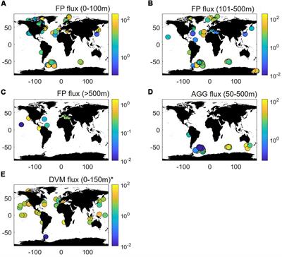 Frontiers | Pathways of Organic Carbon Downward Transport by the ...