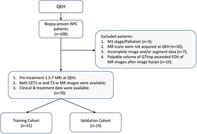 Frontiers Pretreatment Prediction Of Adaptive Radiation Therapy Eligibility Using Mri Based Radiomics For Advanced Nasopharyngeal Carcinoma Patients Oncology