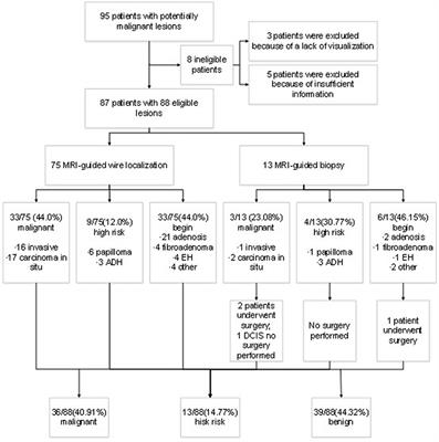 Frontiers | Clinical Application and Feasibility of MRI-Guided Breast ...