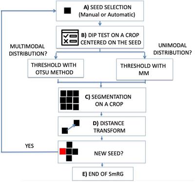 Frontiers A Smart Region Growing Algorithm For Single Neuron Segmentation From Confocal And 2 Photon Datasets Frontiers In Neuroinformatics