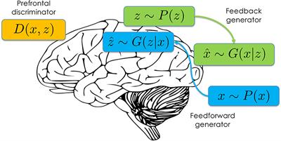 Frontiers The Generative Adversarial Brain Artificial Intelligence