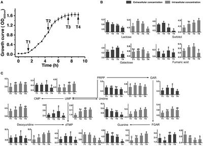 Frontiers | Metabolic Pathway Profiling in Intracellular and ...