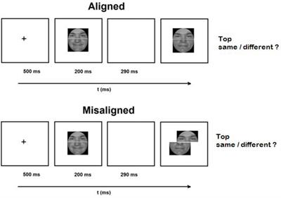 Frontiers | From Global-to-Local? Uncovering the Temporal Dynamics of ...