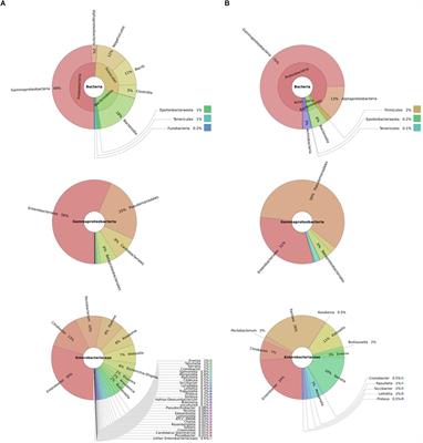 Frontiers | The Impact of Type VI Secretion System, Bacteriocins and ...