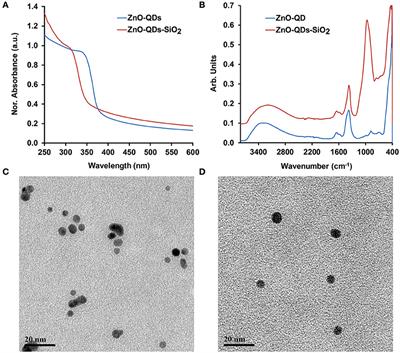 Frontiers Enhanced Fluorescence Of N Acetyl B D Glucosaminidase Activity By Zno Quantum Dots For Early Stage Mastitis Evaluation Chemistry