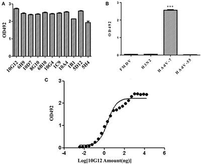 Frontiers | A Murine Monoclonal Antibody With Potent Neutralization ...